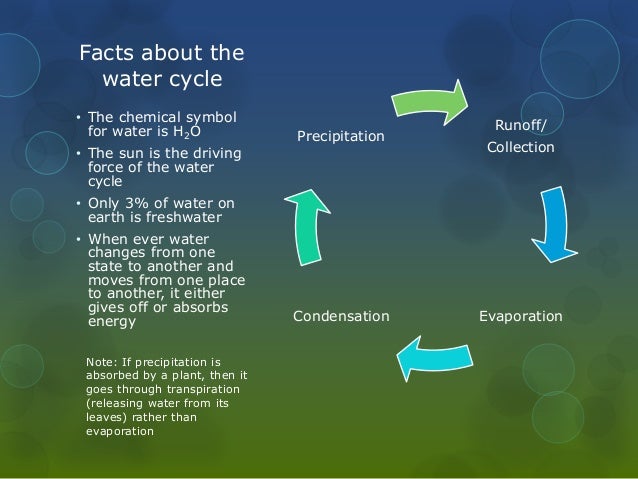 Water Cycle Facts 73